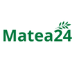 www.matea24.pl